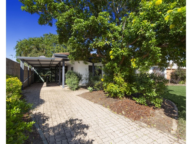 26 Pine Street, Kirwan QLD 4817