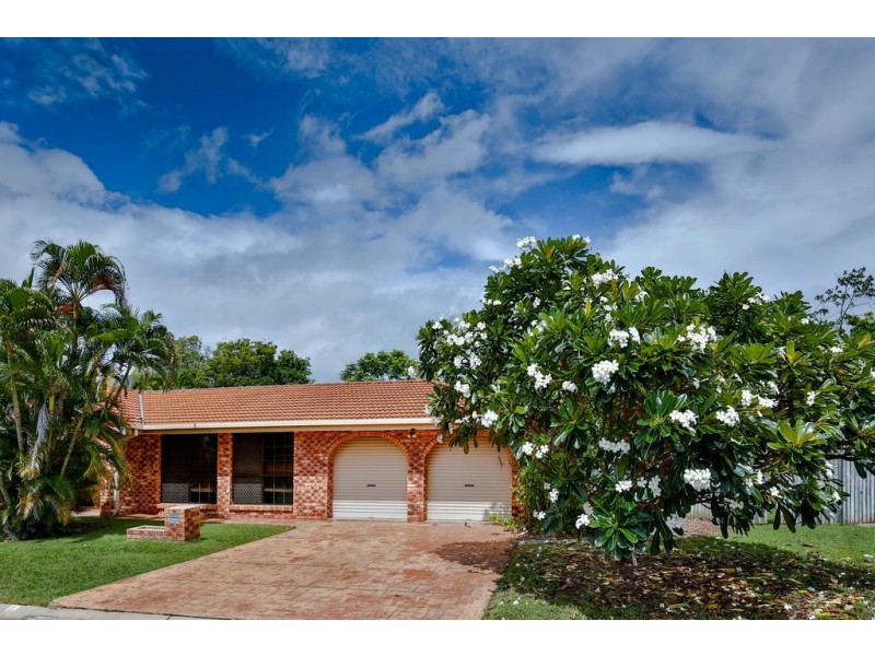 1 Cycad Court, Annandale QLD 4814