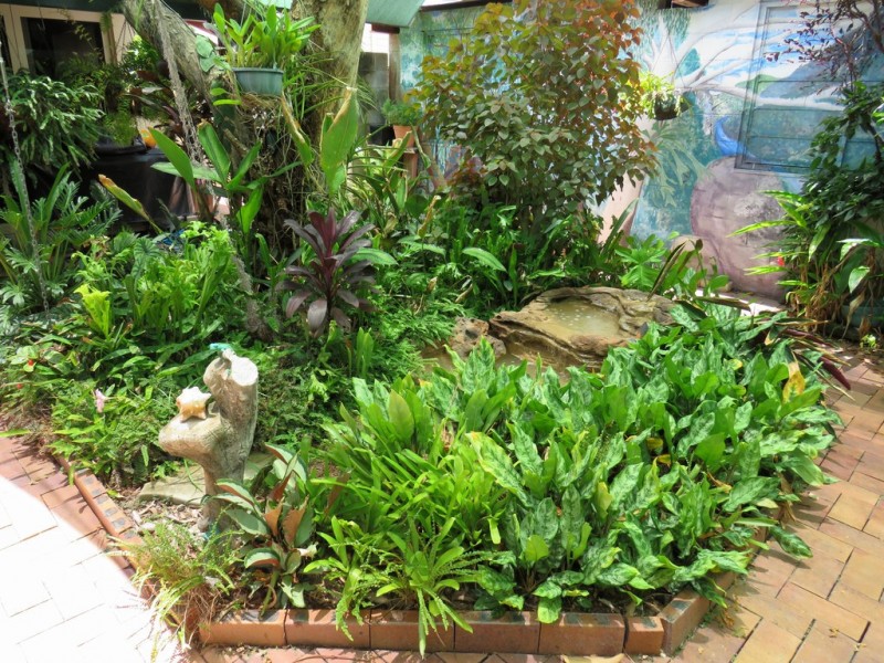 7 Paringa Street, Cranbrook QLD 4814