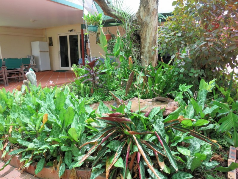 7 Paringa Street, Cranbrook QLD 4814