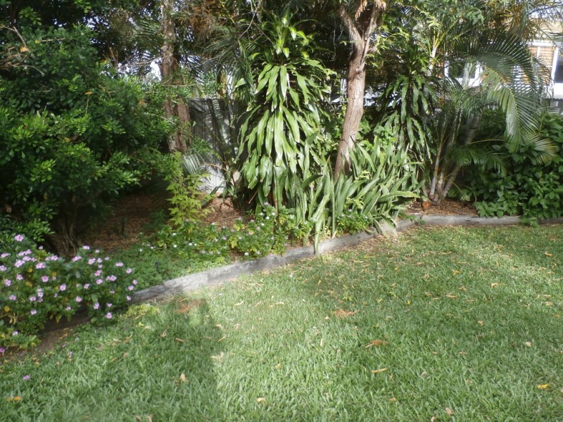 53 Armstrong Street, Hermit Park QLD 4812