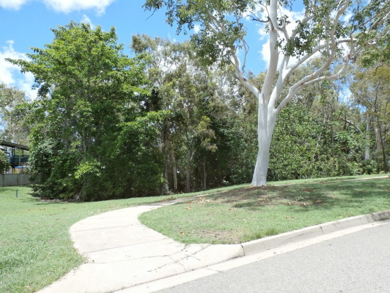 16 Scholars Place, Douglas QLD 4814