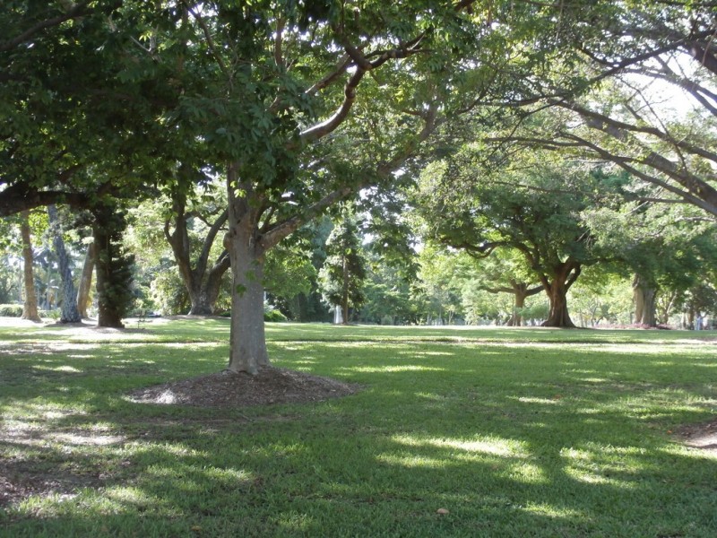 44 Paxton Street, North Ward QLD 4810