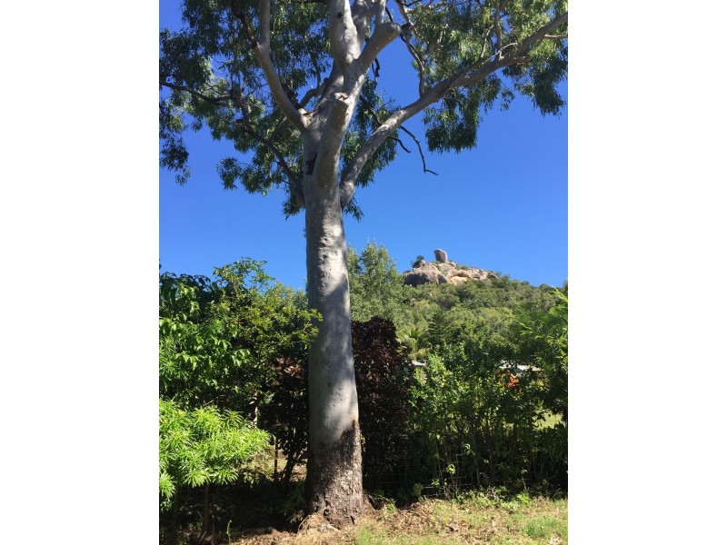 5 Wansfell Street, Picnic Bay QLD 4819