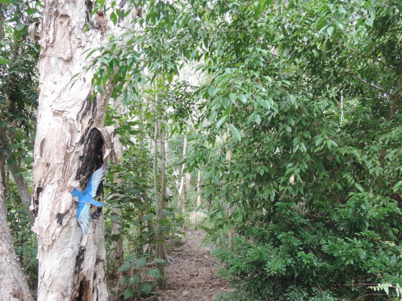 1682 Riverway drive, Kelso QLD 4815