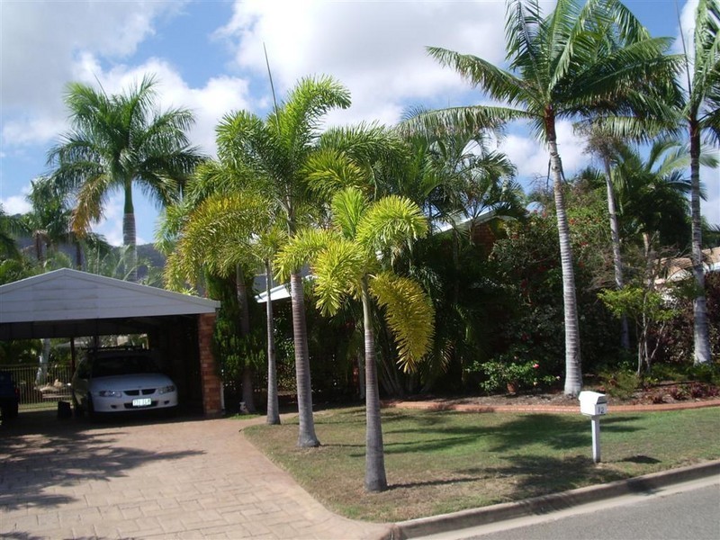 12 Marigold Court, Annandale QLD 4814