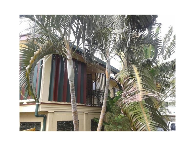 3 Gosper Street, Vincent QLD 4814