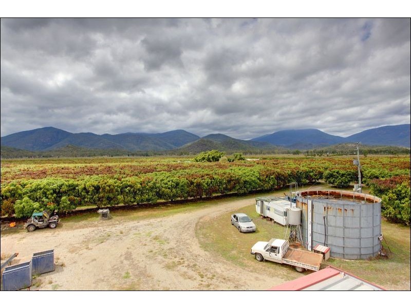 15 Williams Road, Alligator Creek QLD 4816