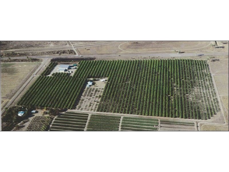 15 Williams Road, Alligator Creek QLD 4816