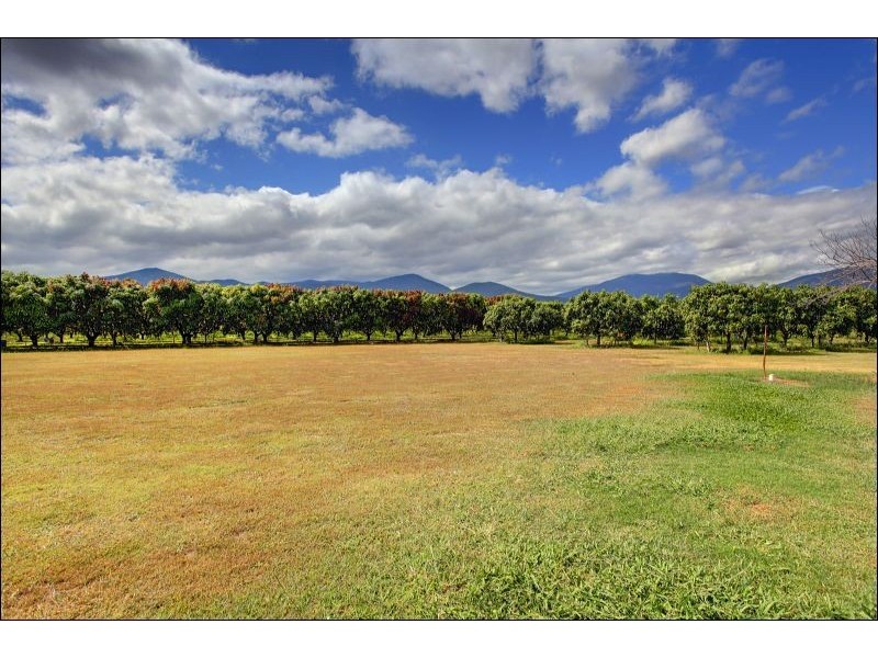 15 Williams Road, Alligator Creek QLD 4816