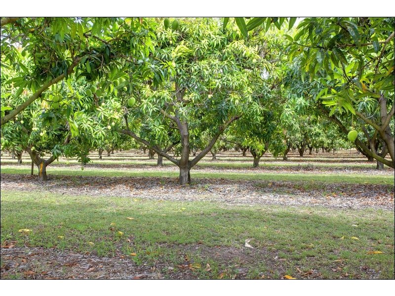 15 Williams Road, Alligator Creek QLD 4816