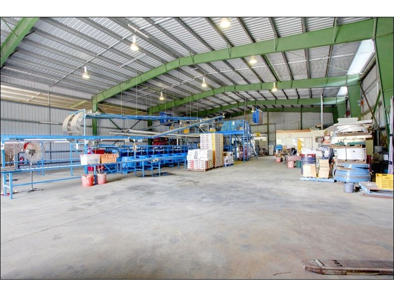 15 Williams Road, Alligator Creek QLD 4816