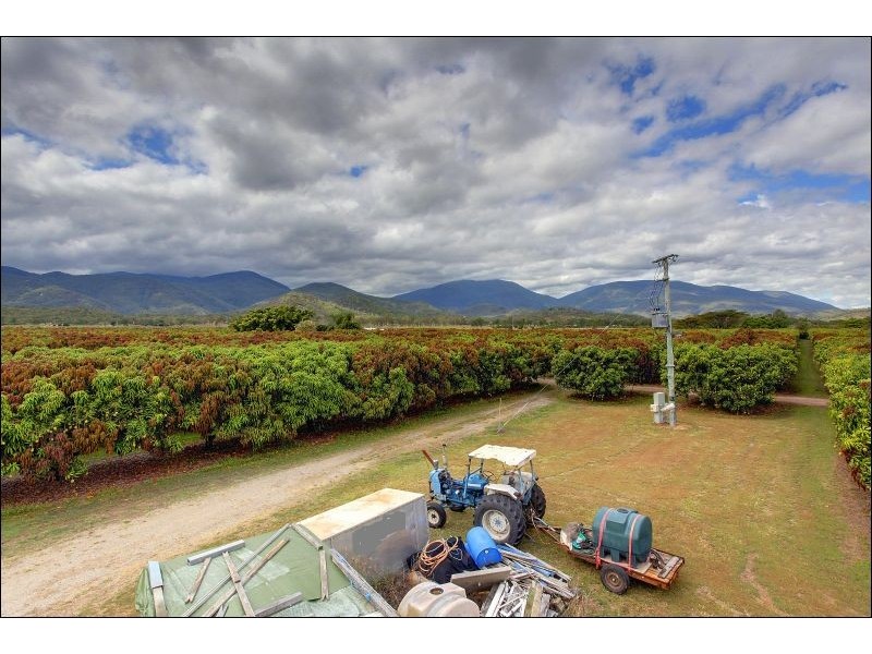 15 Williams Road, Alligator Creek QLD 4816