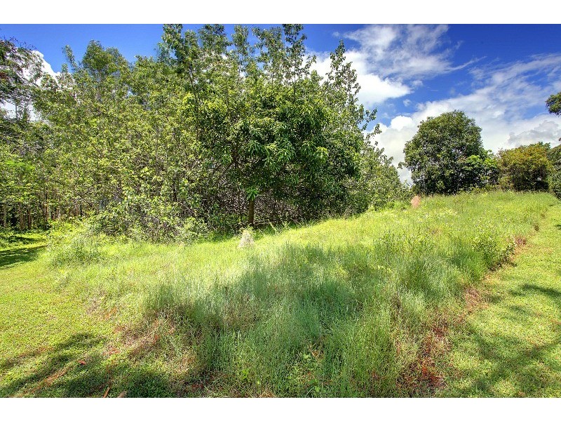 24 Howitson Drive, Balgal Beach QLD 4816