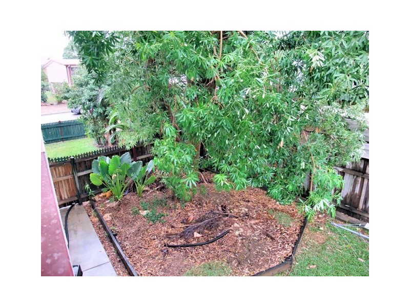 45 Rhodes Street, Heatley QLD 4814