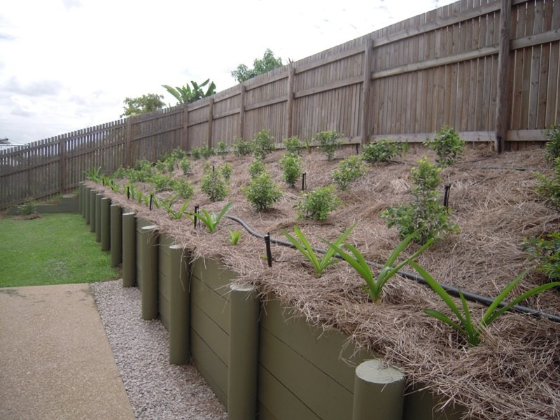 20 Chapple Street, Mount Louisa QLD 4814