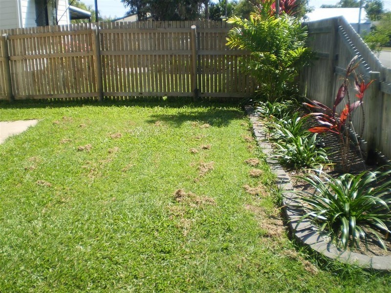 2/3 McDougall Street, Currajong QLD 4812