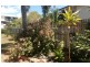 41 Powell street, Wulguru QLD 4811