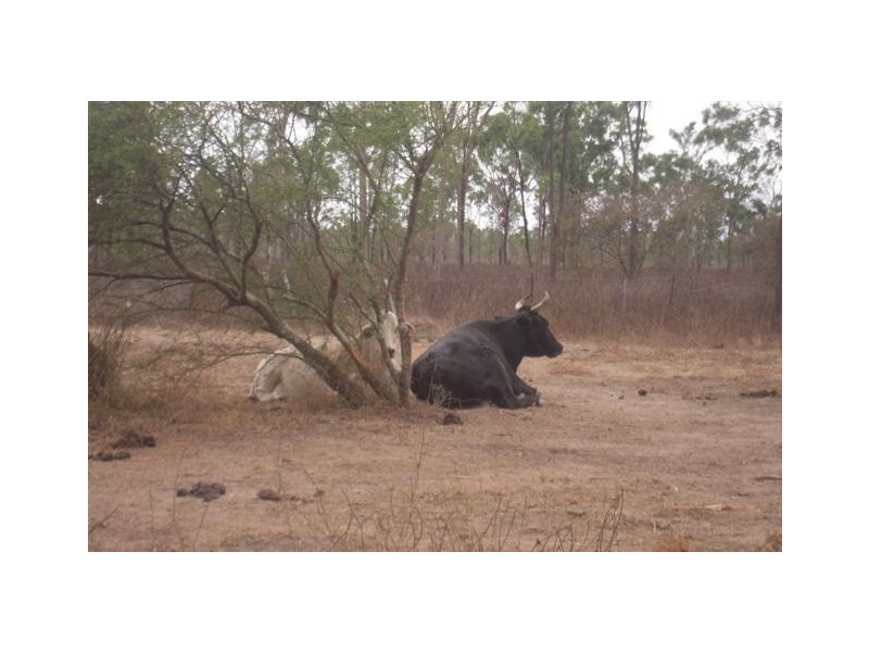 68 Slayton Road, Jensen QLD 4818