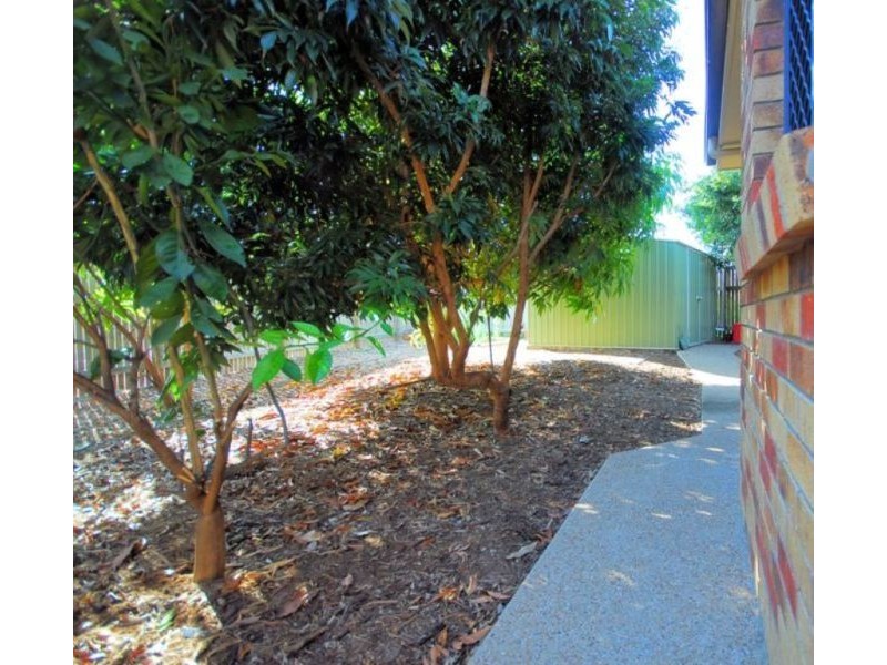 3 Sassafras Court, Bushland Beach QLD 4818