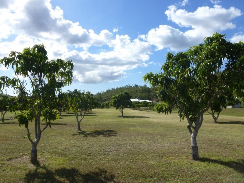 Lot 2 Hancock Road, Alligator Creek QLD 4816