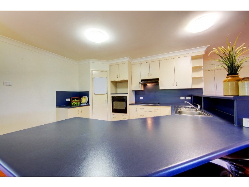 16 Monaro Circuit, Mount Louisa QLD 4814