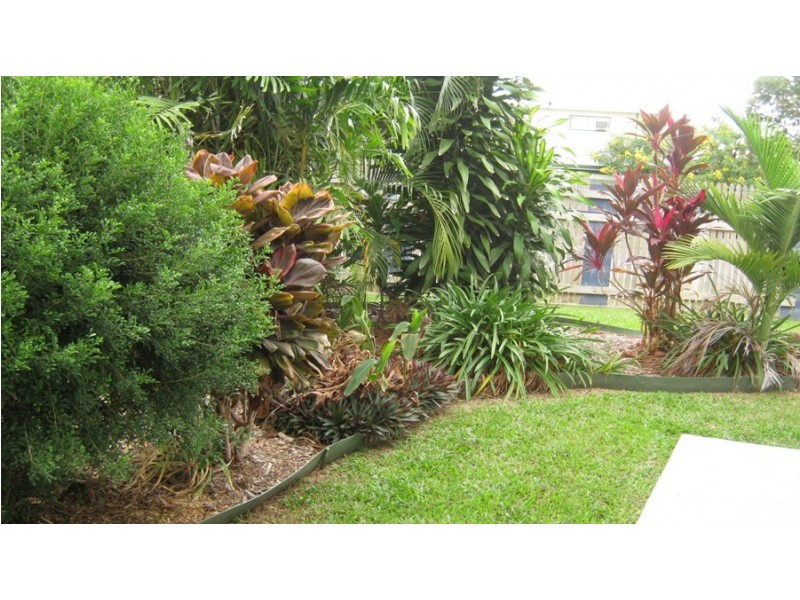 53 Valencia Street, Cranbrook QLD 4814