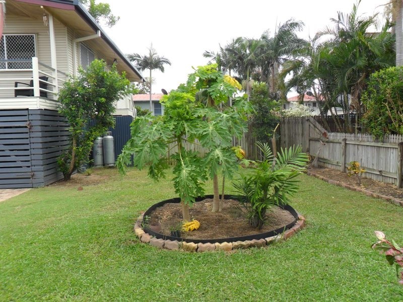 28 Blaxland Crescent, Vincent QLD 4814