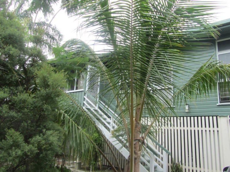 49 Chandler Street, Garbutt QLD 4814
