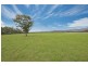 632 Barrett Road, Mutarnee QLD 4816