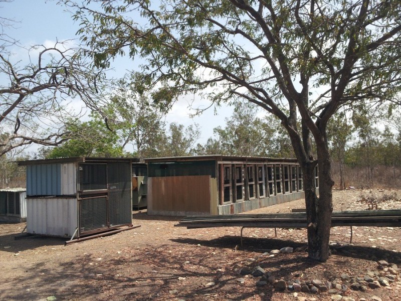 25 Moree Road, Black River QLD 4818