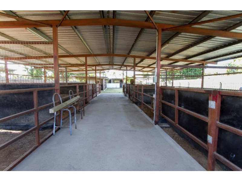 19 Watt Street, Wulguru QLD 4811