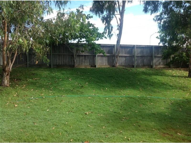14 LaTrobe Close, Douglas QLD 4814