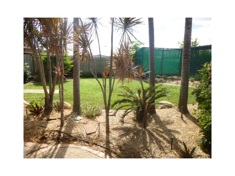 2 Wolseley Court, Annandale QLD 4814