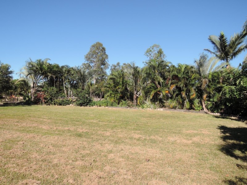 337 FORESTRY ROAD, Bluewater QLD 4818