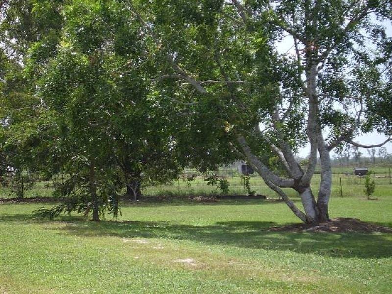 337 FORESTRY ROAD, Bluewater QLD 4818