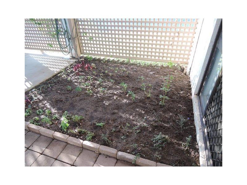 29/131 Ross River Road, Mundingburra QLD 4812