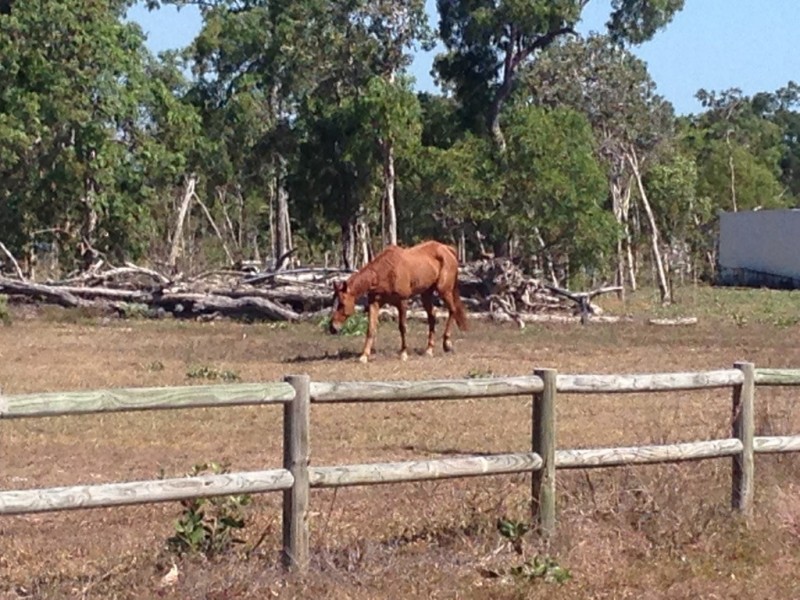 8 (Lot 102) Cradler Crt, Bluewater Park QLD 4818