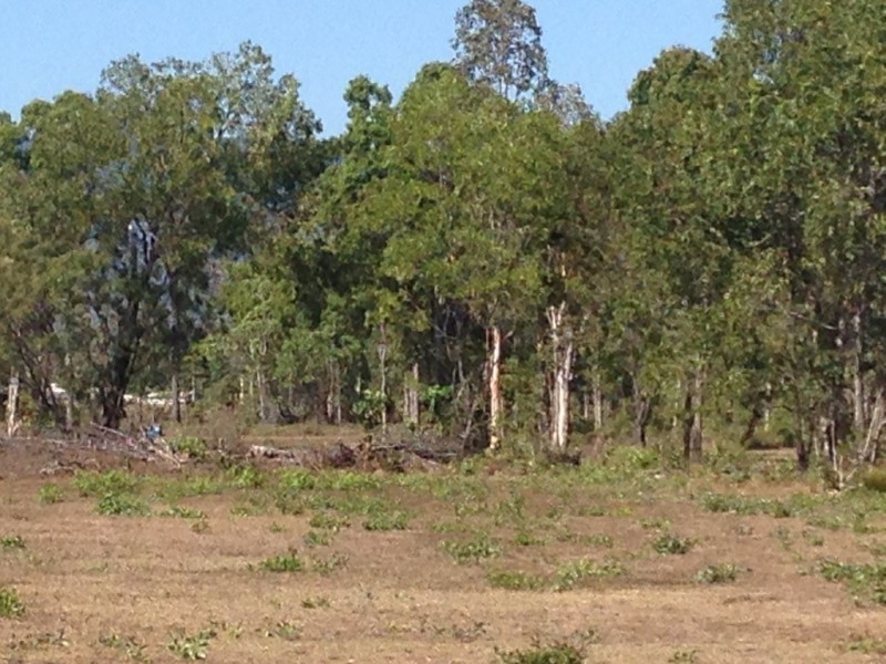 8 (Lot 102) Cradler Crt, Bluewater Park QLD 4818