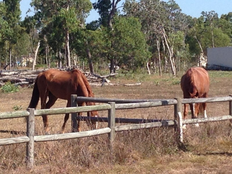 8 (Lot 102) Cradler Crt, Bluewater Park QLD 4818