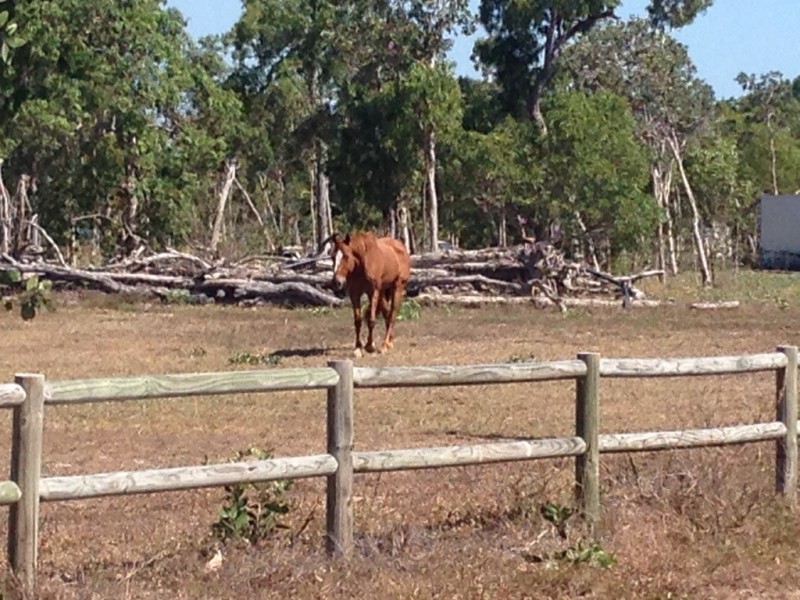 8 (Lot 102) Cradler Crt, Bluewater Park QLD 4818