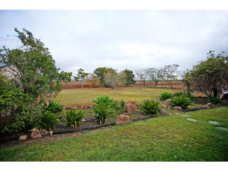 325 Forestry Road, Bluewater QLD 4818