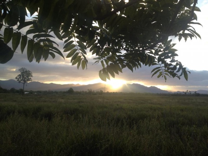 325 Forestry Road, Bluewater QLD 4818