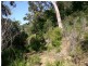 Grays Point NSW 2232