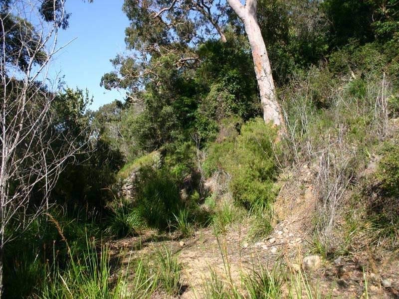 Grays Point NSW 2232