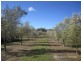 4 Olive Grove Lane, Bargo NSW 2574