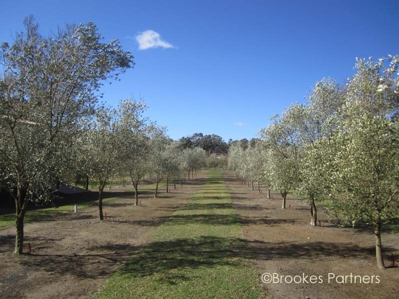 4 Olive Grove Lane, Bargo NSW 2574