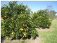 4 Olive Grove Lane, Bargo NSW 2574