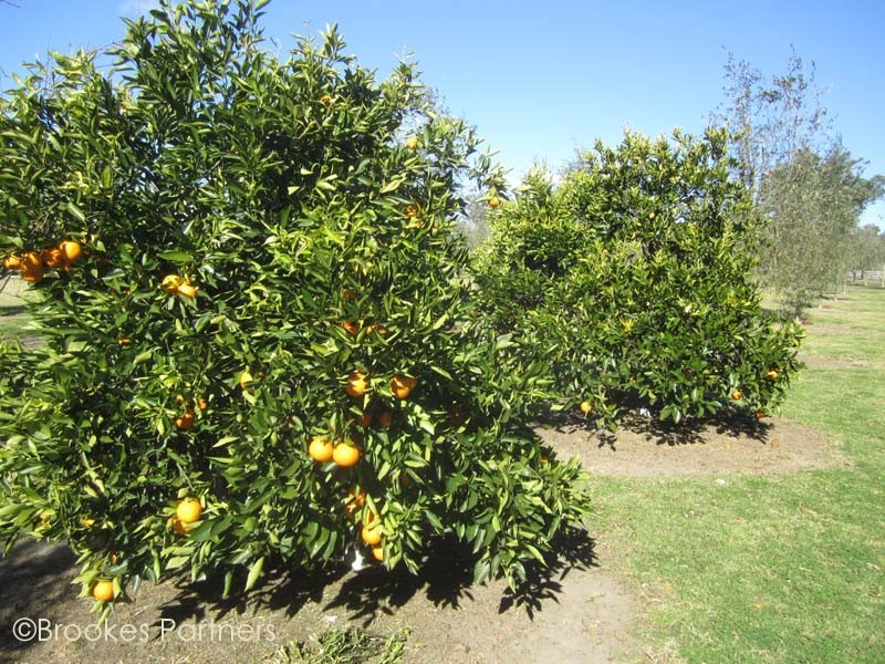 4 Olive Grove Lane, Bargo NSW 2574