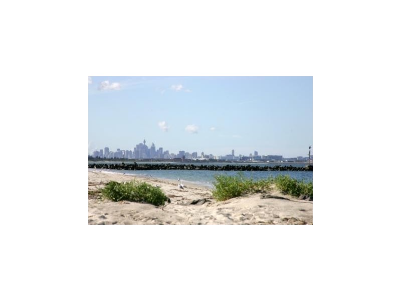 167 The Grand Pde, Monterey NSW 2217